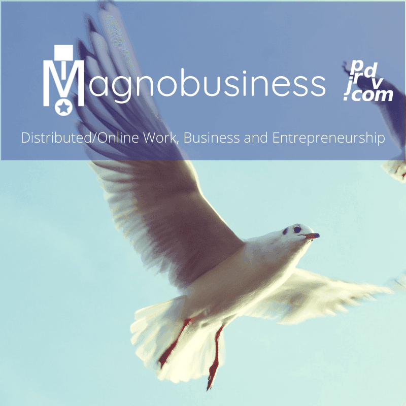 Welcome to Magnobusiness: Distributed / Online Work, Business and Entrepreneurship